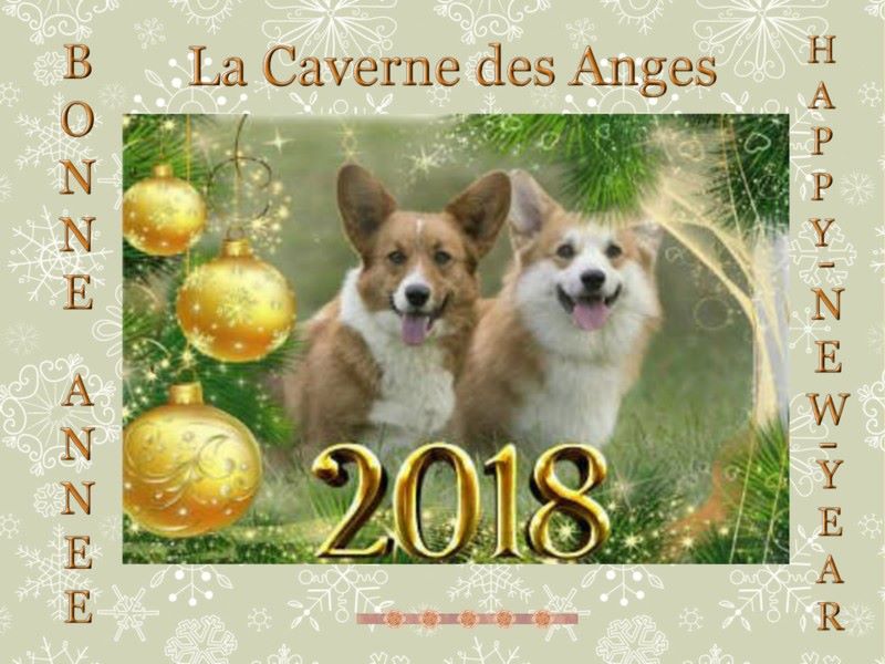 La caverne des anges - Bonne Année 2018