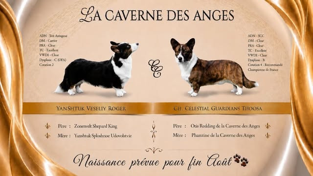 naissance prévue
